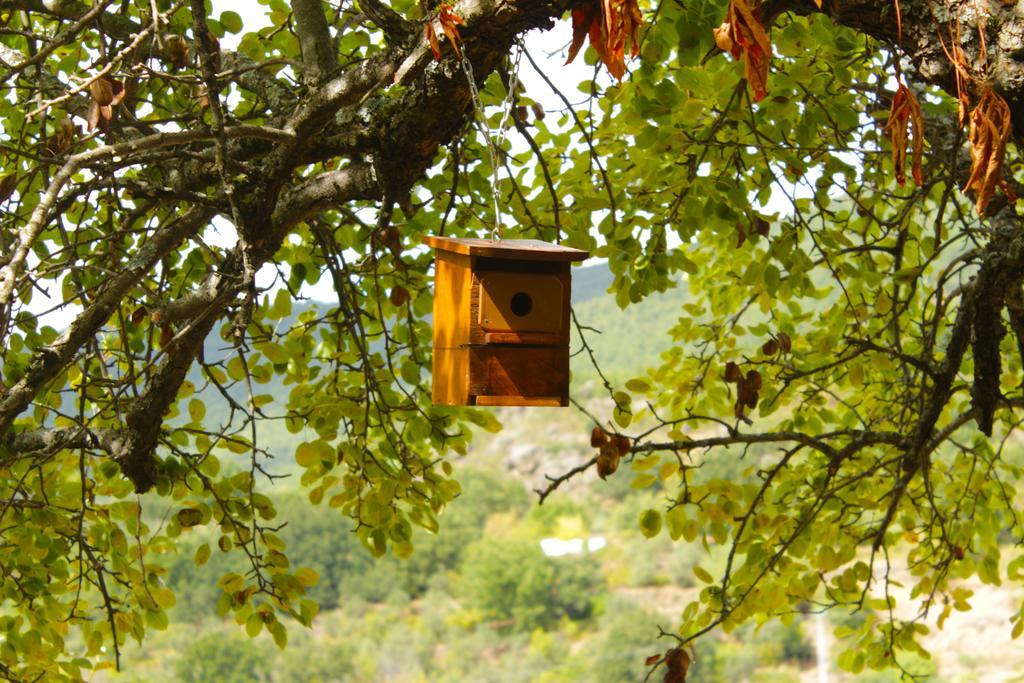 Albergue Turistico Via De La Plata Banos De Montemayor Extérieur photo